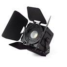 PAR led IP65 COB 250 blanc variable Flash Pro