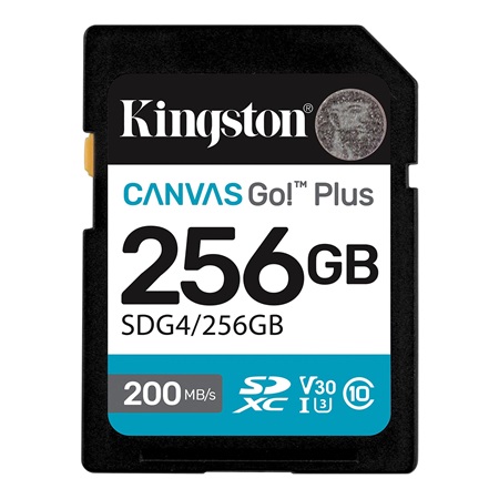 Carte mémoire KINGSTON SD Plus Canvas Go! - 256Go 