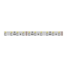 Strip led ENTTEC 24V RGBW - 60 pixel / m - IP20 - fond blanc - lg 10m