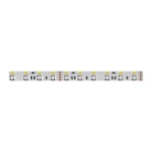 Strip led ENTTEC 24V RGBW - 60 pixel / m - IP20 - fond blanc - lg 10m