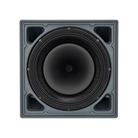 Enceinte extérieure IP55 coax RCF 15'' 600W RMS 8? P6215