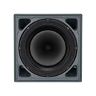 Enceinte extérieure IP55 coax RCF 15'' 600W RMS 8? P6215