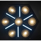 Projecteur led puissant, décoratif et polyvalent SKYRAN Briteq