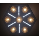 Projecteur led puissant, décoratif et polyvalent SKYRAN Briteq