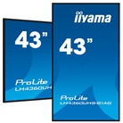 Ecran affichage dynamiqye Led 4K 43'' IIYAMA ProLite LH4360UHS-B1AG