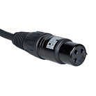 Cordon Micro XLR 3 mâle - XLR 3 femelle standard - 10m - BLACKCABLE  