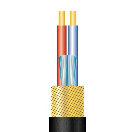 Câble micro noir ultra flexible analogique REAN YME220 - 100m 