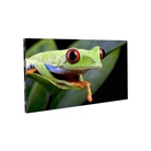 Ecran Led ADJ WMS2 LED Video Panel
