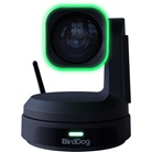 Bundle de 3 caméra PTZ 4K HDMI et USB-C BirdDog X1 Ultra