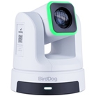 Bundle de 3 caméra PTZ 4K 12G-SDI, HDMI 2.0 et USB-C BirdDog X5 Ultra