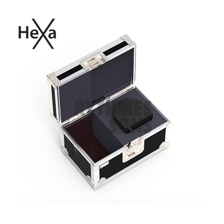 Flight-case Rythmes et Sons pour caméra tourelle PANASONIC AW-UE40