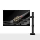 Support de table à clamper LINDY pour 1 écran LCD 13 à 32'' 