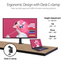 Moniteur professionnel Led IPS 32'' ASUS ProArt Display PA329CV