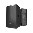 Audiocenter SA315+ - enceinte amplifiée 1000W RMS bois 15'' + 1''