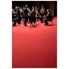  SOL PVC MONOCHROME 200cm Rouge - ignifugé Cfl-s1 - 10mlx200cm