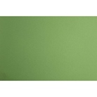  SOL PVC MONOCHROME 200cm Vert - ignifugé Cfl-s1 - 10mlx200cm