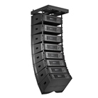 Audiocenter K-2LA28-DSP-F Bundle 2 Line Array DSP + Flightcase