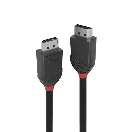 Lindy 36490 Câble DisplayPort 1.2, Black Line, 0.5m
