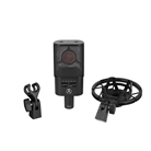 Austrian Audio OC616 – Microphone à condensateur