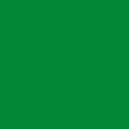 Filtre gélatine GAMCOLOR 660 effet Medium Green - Feuille 65 x 61cm