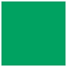 Filtre gélatine GAMCOLOR 666 effet Wicked Green - Feuille 65 x 61cm