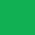 Filtre gélatine LEE FILTERS 089 effet Moss Green - Feuille 122 x 53cm