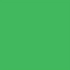 Filtre gélatine LEE FILTERS 122 effet Fern Green - Feuille 122 x 53cm