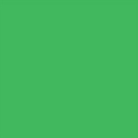 Filtre gélatine LEE FILTERS 122 effet Fern Green - Feuille 122 x 53cm