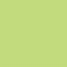 Filtre gélatine LEE FILTERS 138 effet Pale Green - Feuille 122 x 53cm