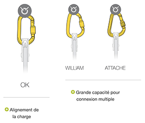 Choix de mousquetons pour mouflages et connexion de poulies